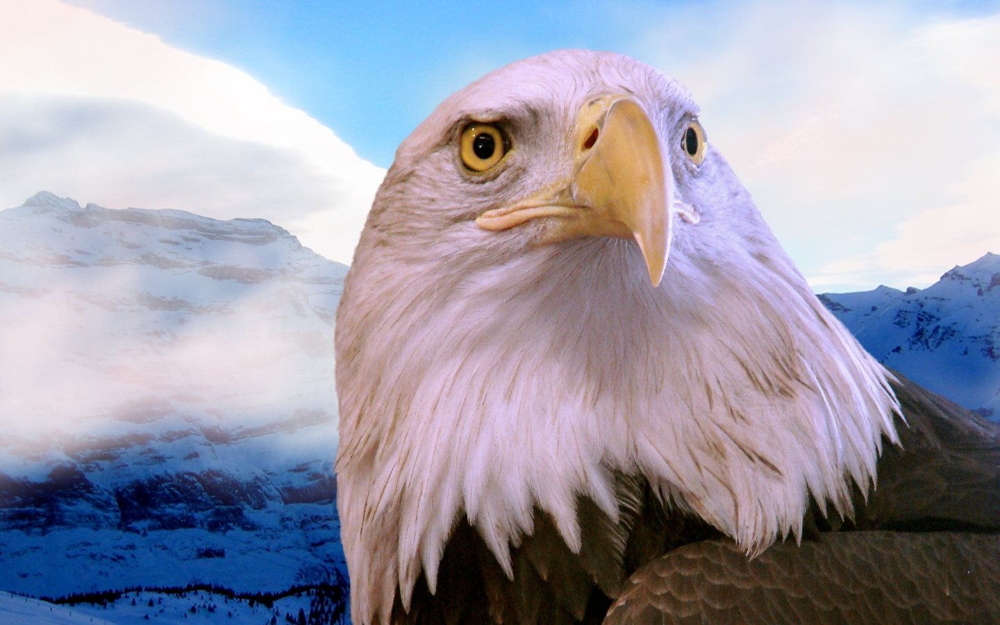 Baldeagle Mountain Wallpaper