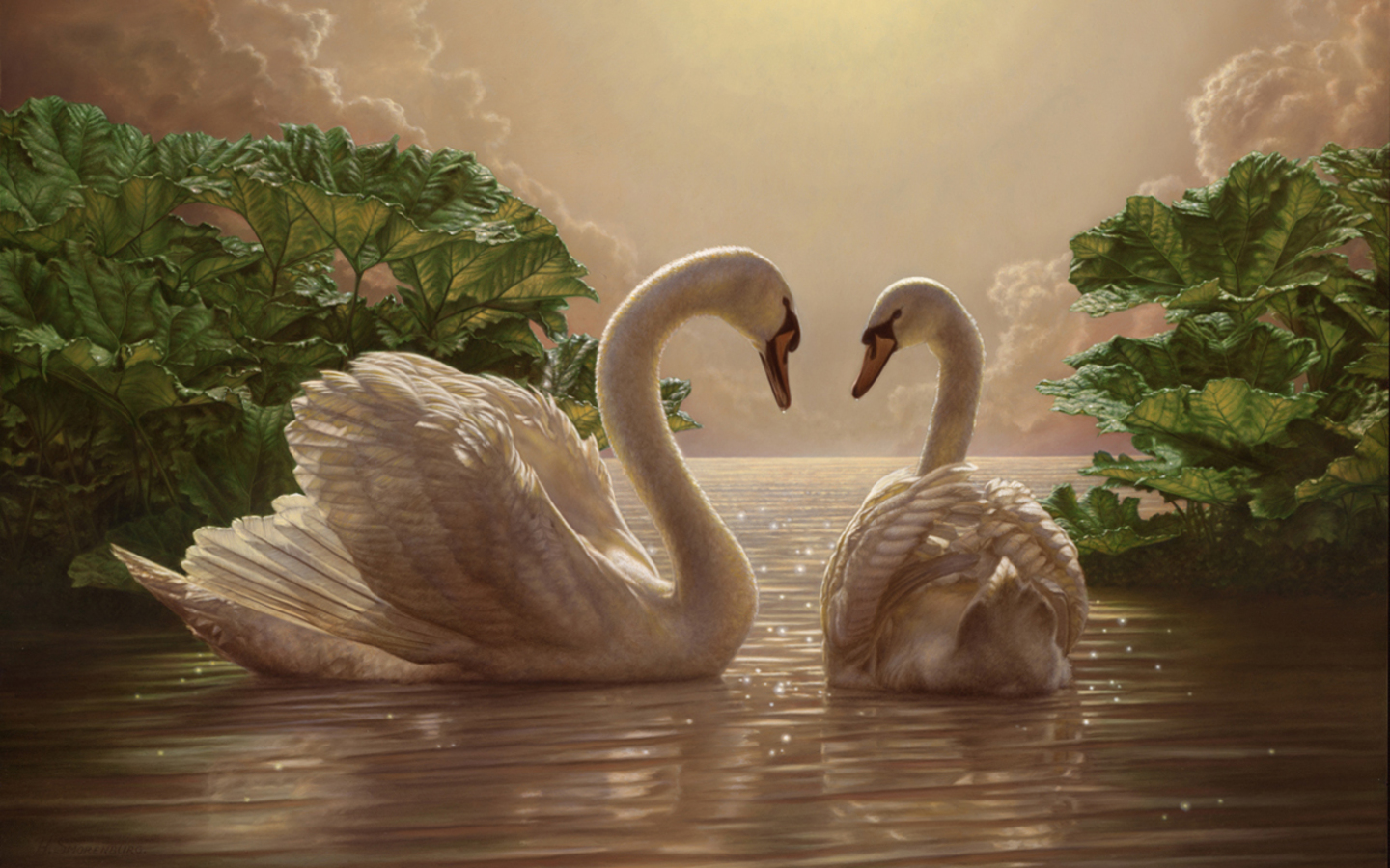 Two Swans Wallpaper